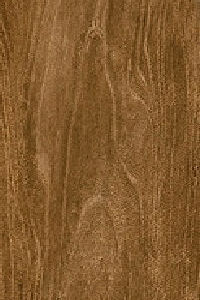 PORC.NATURAL IPE 24,5X100 CAJA DE 2,20M2 VILLAGRES