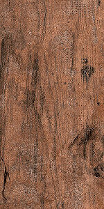 RECT. JUGLE 20X120 CAJA DE 1,19M2 TENDENZA